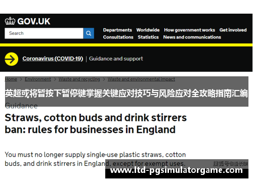 英超或将暂按下暂停键掌握关键应对技巧与风险应对全攻略指南汇编 英超或将暂按下暂停键掌握关键应对技巧与风险应对全攻略指南汇编