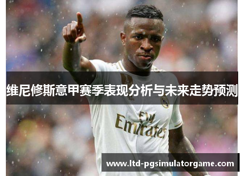 维尼修斯意甲赛季表现分析与未来走势预测